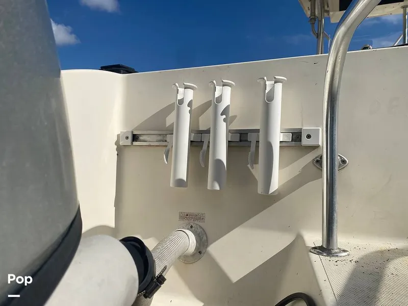 Slide: The Image of World Cat 246 SF 1999 - 16157800