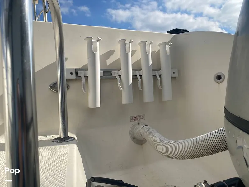 Slide: The Image of World Cat 246 SF 1999 - 16157801