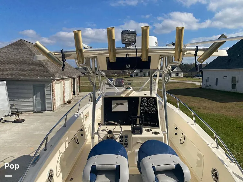 Slide: The Image of World Cat 246 SF 1999 - 16157802