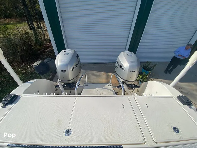 Slide: The Image of World Cat 246 SF 1999 - 16157804