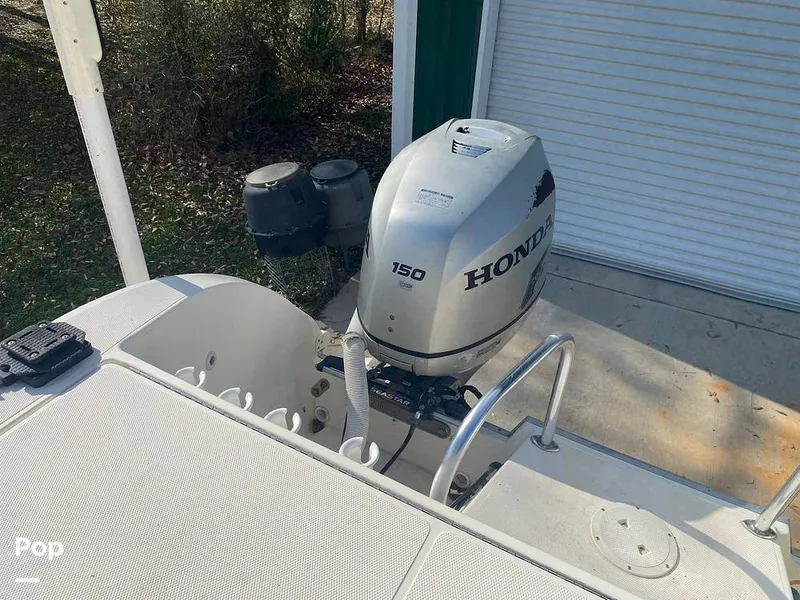 Slide: The Image of World Cat 246 SF 1999 - 16157805