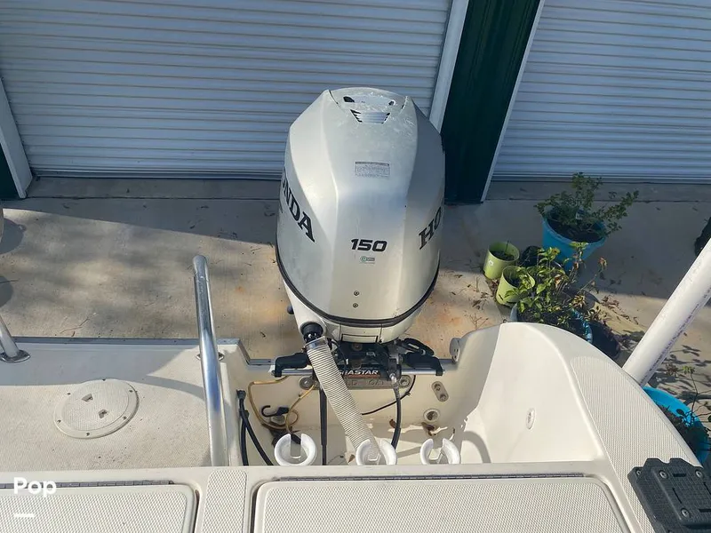 Slide: The Image of World Cat 246 SF 1999 - 16157806