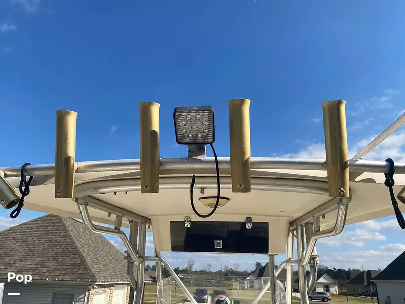 Slide: The Image of World Cat 246 SF 1999 - 16157809