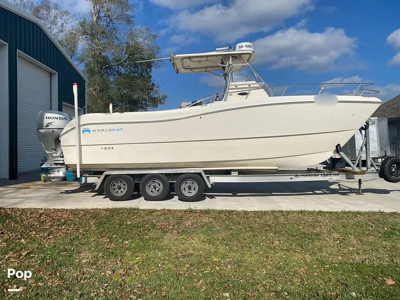 Slide: The Image of World Cat 246 SF 1999 - 16157773