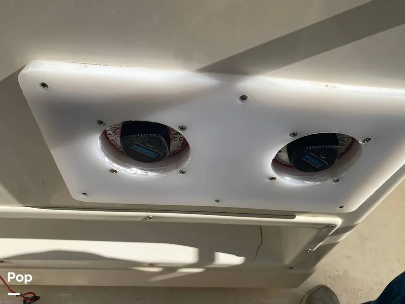 Slide: The Image of World Cat 246 SF 1999 - 16157810