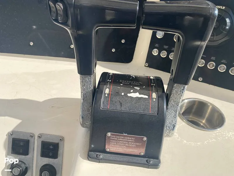 Slide: The Image of World Cat 246 SF 1999 - 16157811