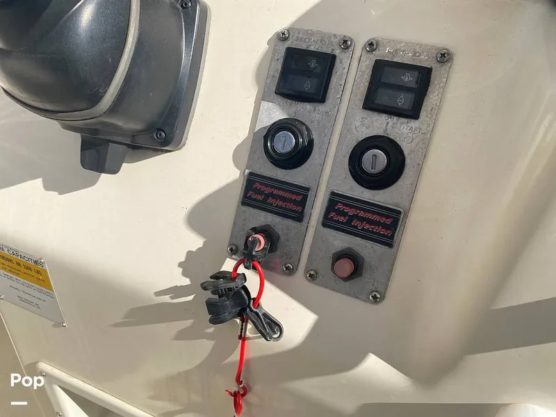 Slide: The Image of World Cat 246 SF 1999 - 16157812