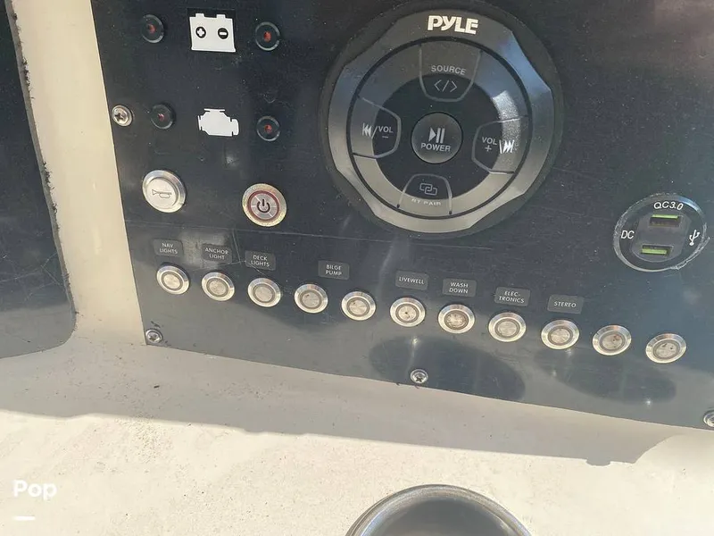 Slide: The Image of World Cat 246 SF 1999 - 16157814