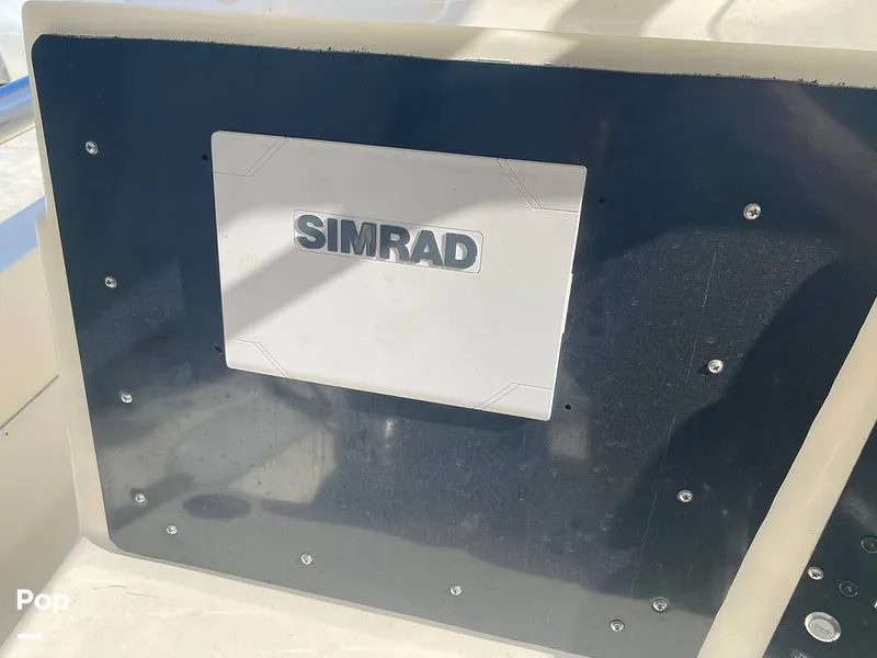 Slide: The Image of World Cat 246 SF 1999 - 16157816