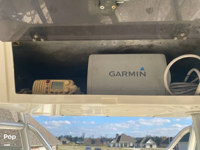 Slide: The Image of World Cat 246 SF 1999 - 16157818