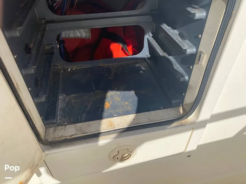 Slide: The Image of World Cat 246 SF 1999 - 16157819