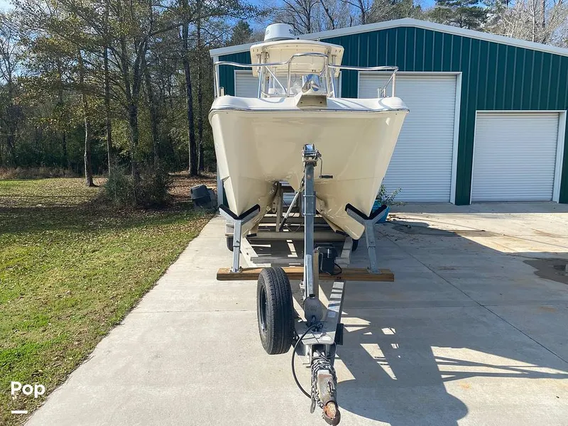 Slide: The Image of World Cat 246 SF 1999 - 16157774