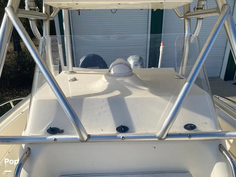 Slide: The Image of World Cat 246 SF 1999 - 16157820