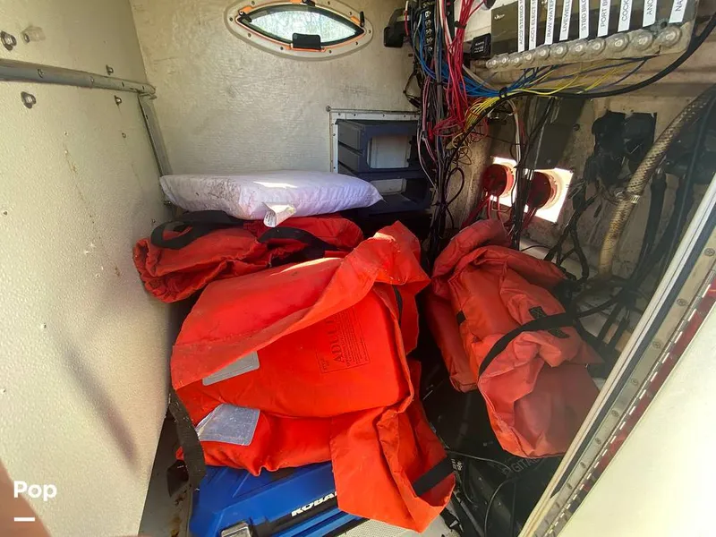 Slide: The Image of World Cat 246 SF 1999 - 16157825