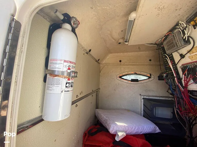 Slide: The Image of World Cat 246 SF 1999 - 16157826