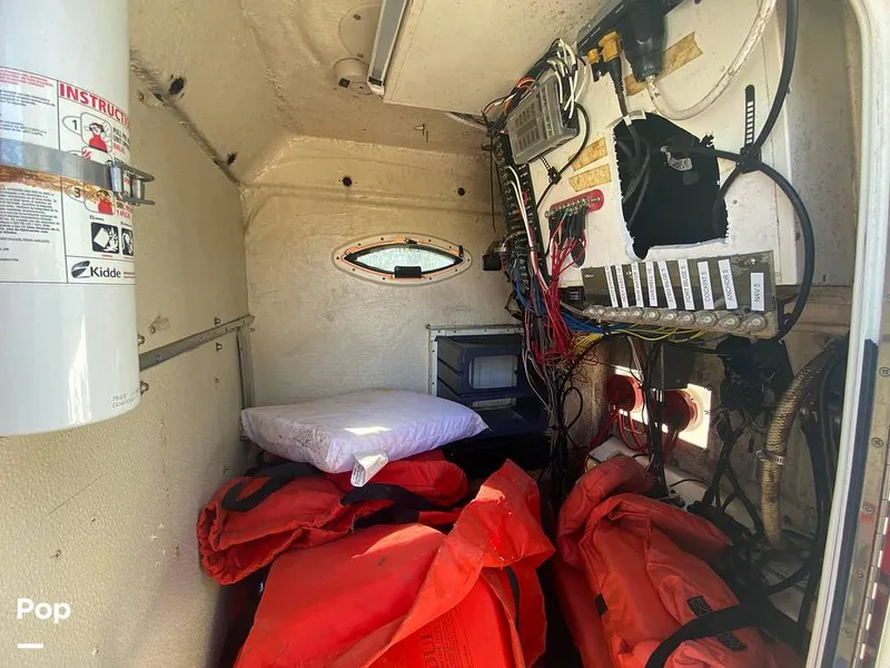 Slide: The Image of World Cat 246 SF 1999 - 16157827