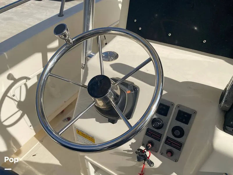 Slide: The Image of World Cat 246 SF 1999 - 16157775