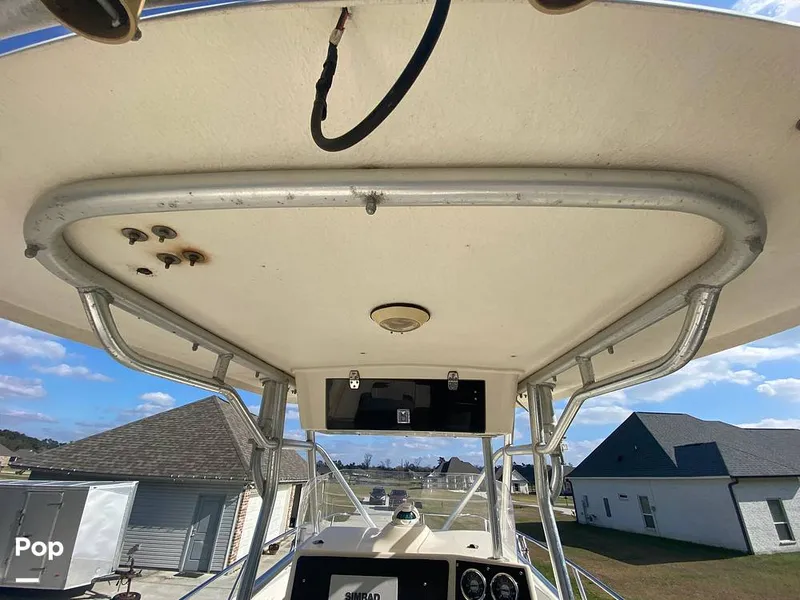 Slide: The Image of World Cat 246 SF 1999 - 16157831