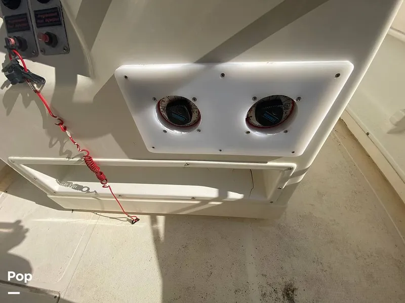 Slide: The Image of World Cat 246 SF 1999 - 16157832