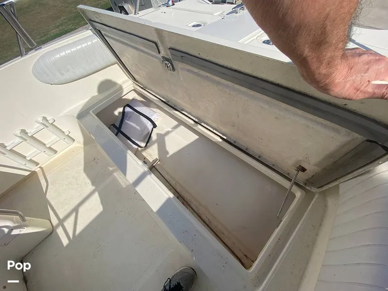 Slide: The Image of World Cat 246 SF 1999 - 16157833