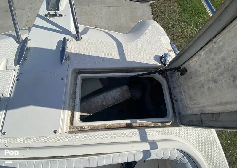 Slide: The Image of World Cat 246 SF 1999 - 16157834