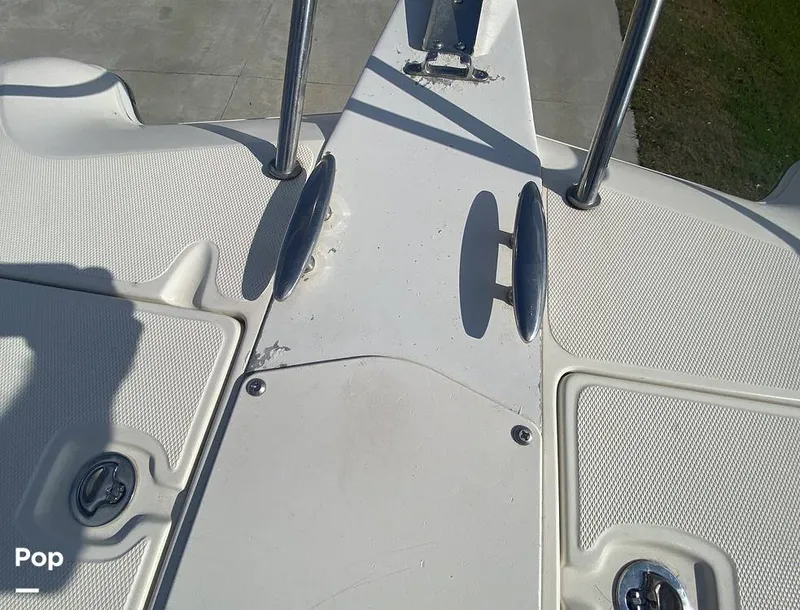 Slide: The Image of World Cat 246 SF 1999 - 16157835