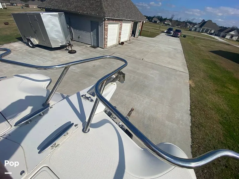 Slide: The Image of World Cat 246 SF 1999 - 16157836