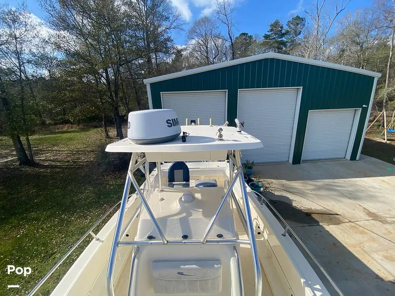 Slide: The Image of World Cat 246 SF 1999 - 16157839