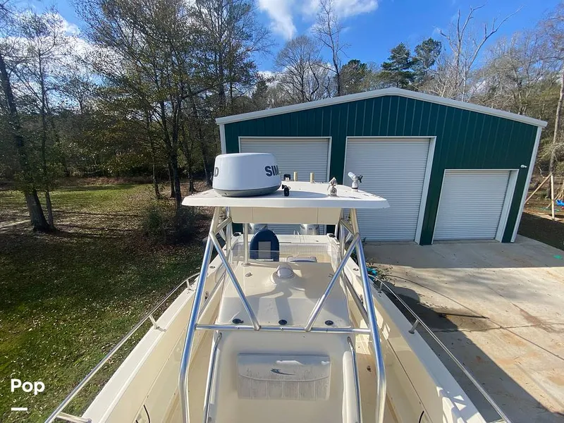 Slide: The Image of World Cat 246 SF 1999 - 16157841