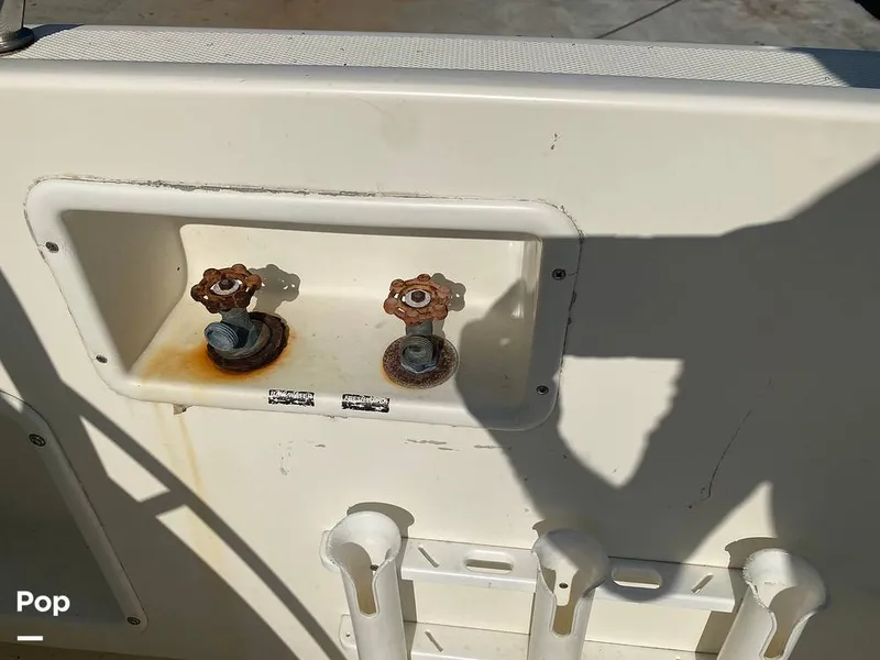 Slide: The Image of World Cat 246 SF 1999 - 16157843