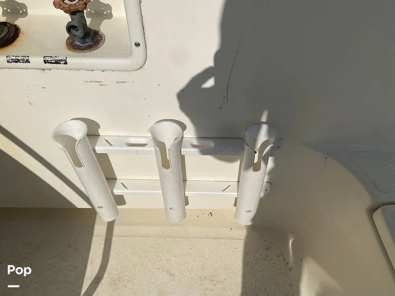 Slide: The Image of World Cat 246 SF 1999 - 16157844