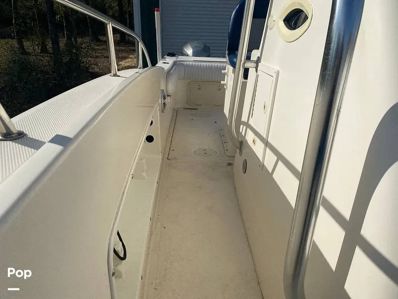 Slide: The Image of World Cat 246 SF 1999 - 16157845