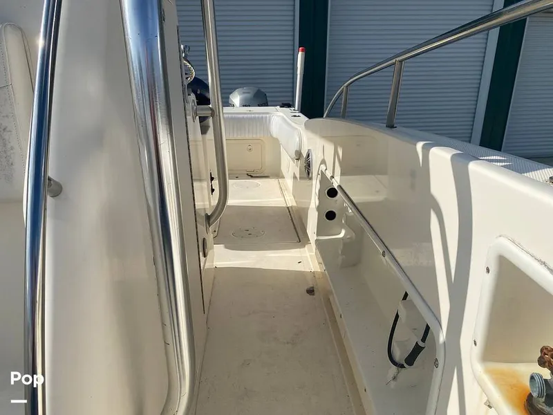 Slide: The Image of World Cat 246 SF 1999 - 16157846