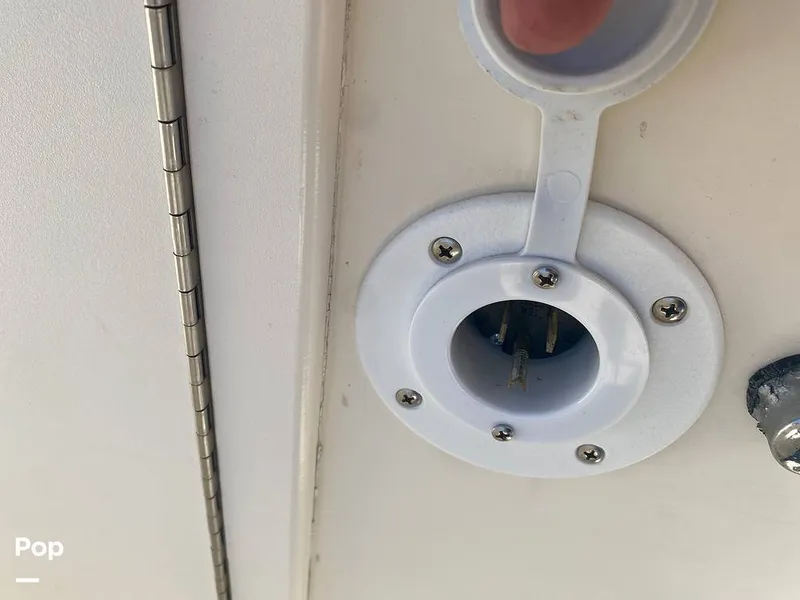 Slide: The Image of World Cat 246 SF 1999 - 16157848