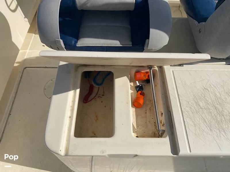 Slide: The Image of World Cat 246 SF 1999 - 16157849