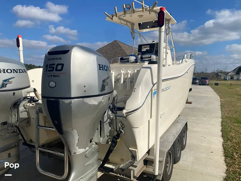 Slide: The Image of World Cat 246 SF 1999 - 16157777