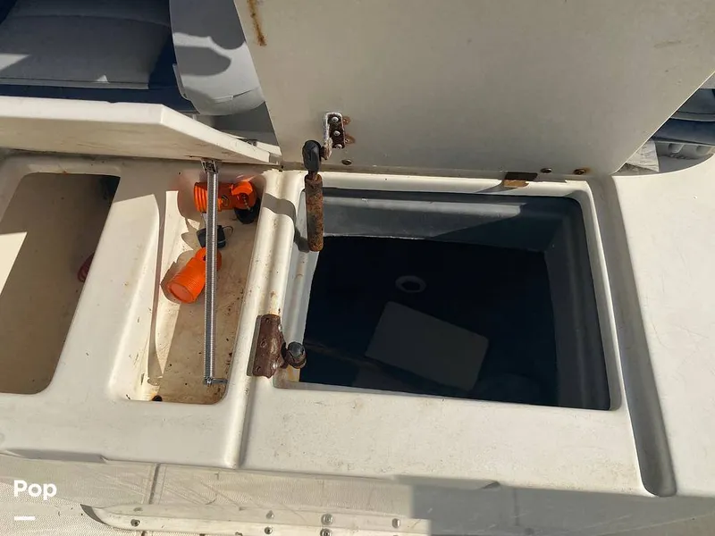 Slide: The Image of World Cat 246 SF 1999 - 16157850