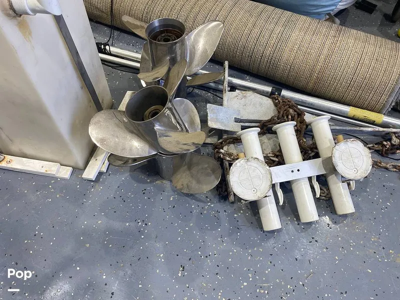 Slide: The Image of World Cat 246 SF 1999 - 16157852