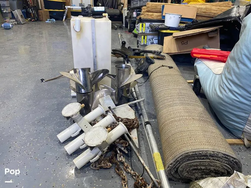 Slide: The Image of World Cat 246 SF 1999 - 16157854