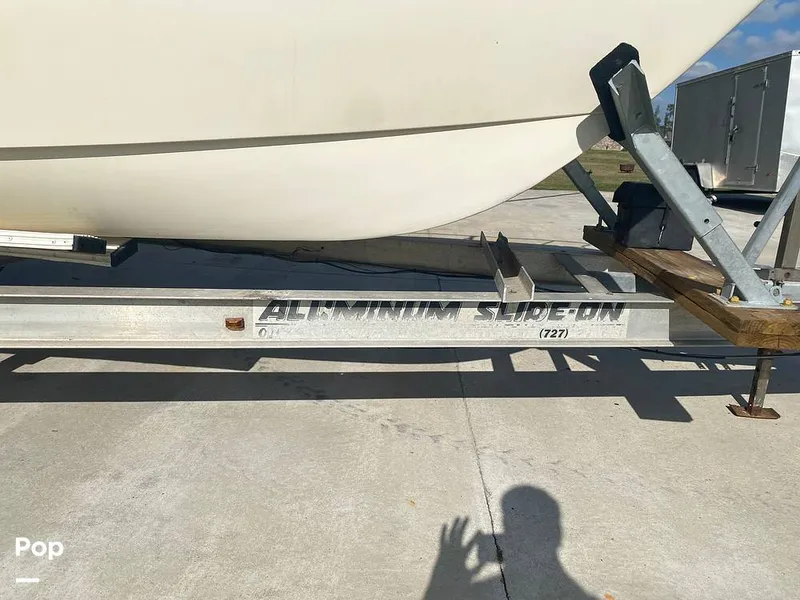 Slide: The Image of World Cat 246 SF 1999 - 16157778