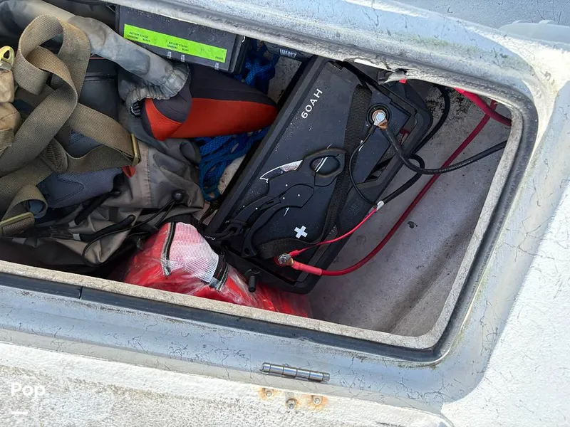 Slide: The Image of Haynie 24 VLS 2017 - 16163682