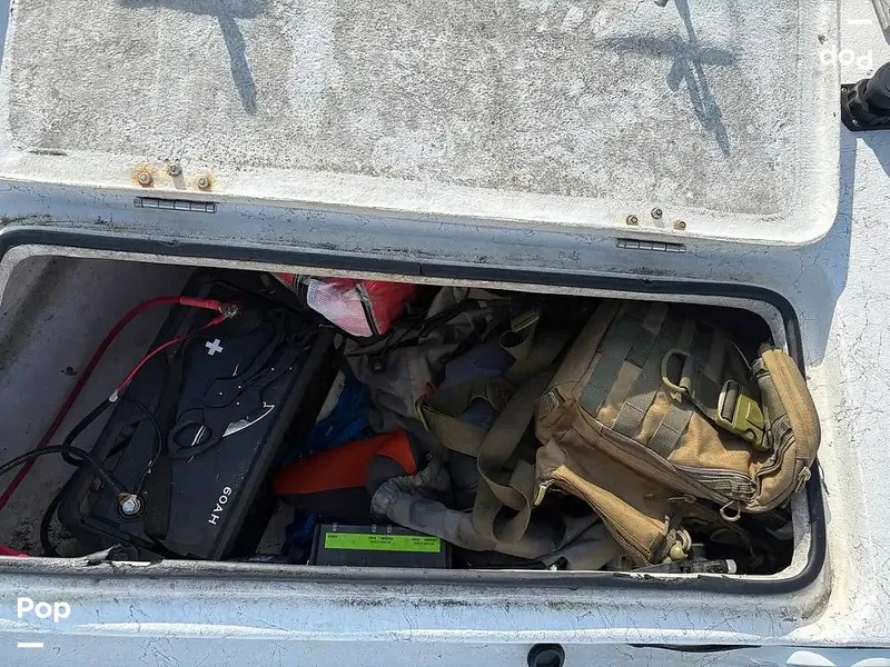 Slide: The Image of Haynie 24 VLS 2017 - 16169154