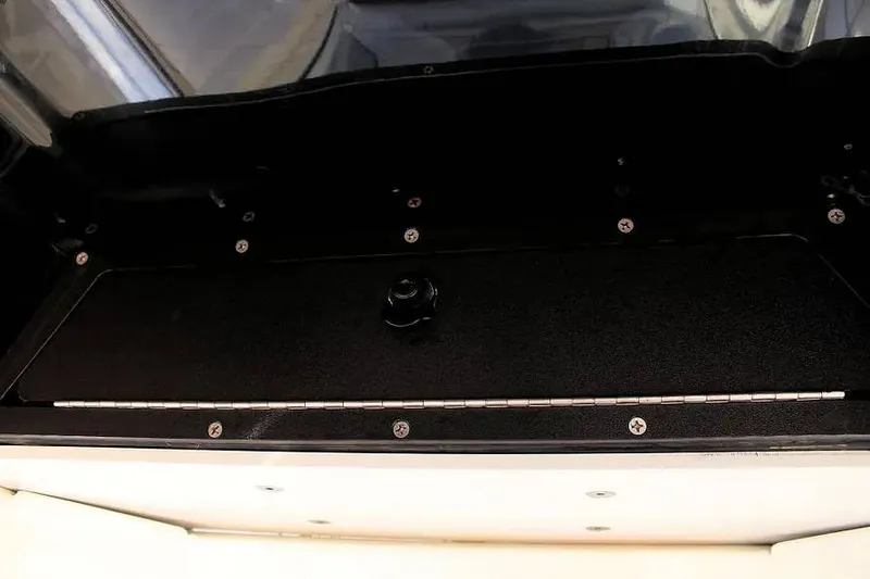 Slide: The Image of Yamaha 255 Fsh 2022 - 16145405