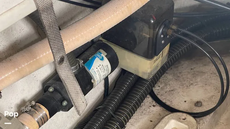 Slide: The Image of Formula 260SS 2003 - 16197769