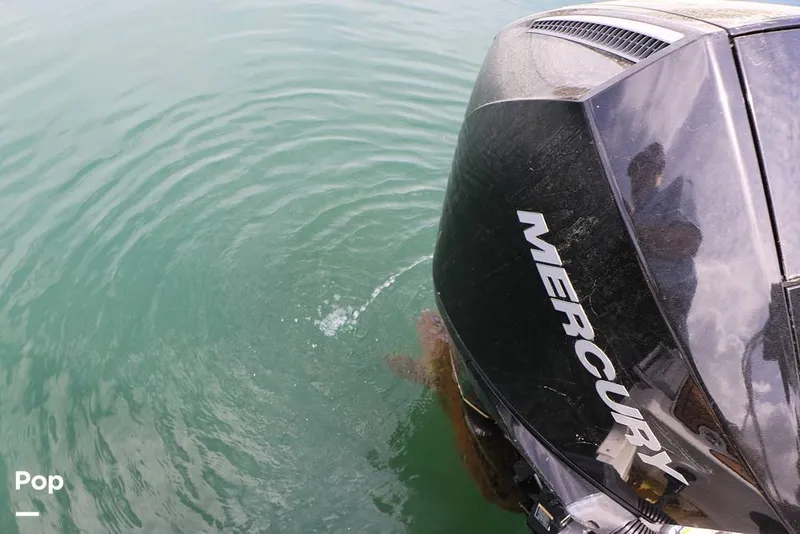 Slide: The Image of Crownline Boats E230XS 2025 - 16324988