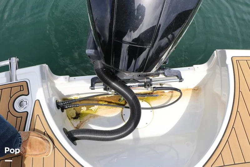 Slide: The Image of Crownline Boats E230XS 2025 - 16324989