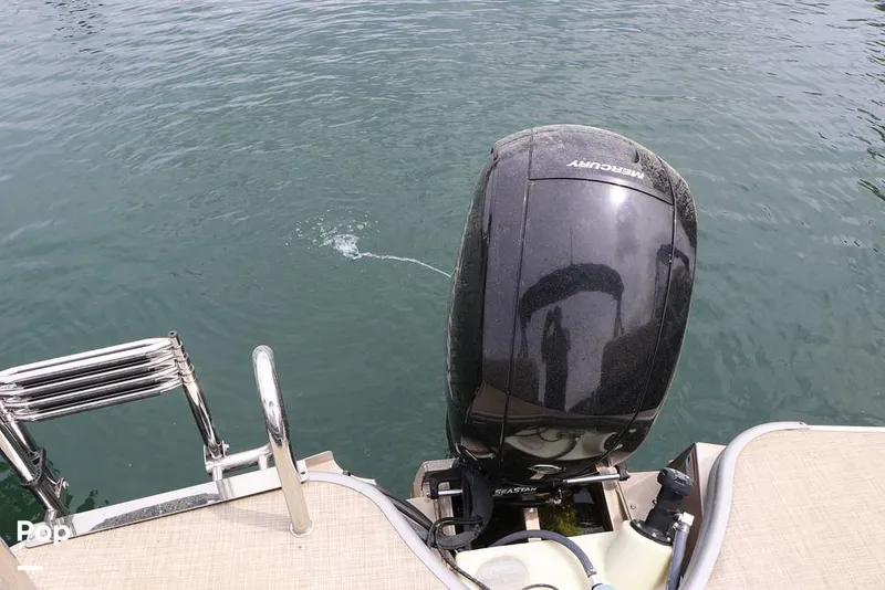 Slide: The Image of Lowe SS 230WT 2024 - 16325148