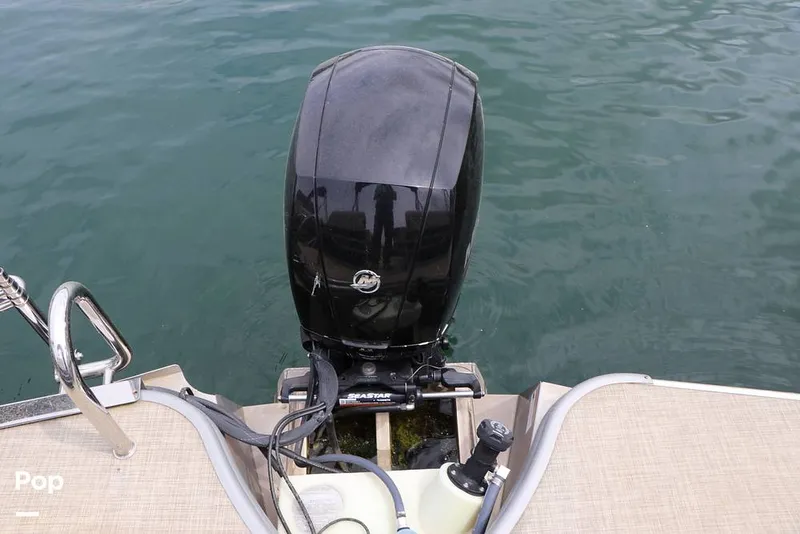 Slide: The Image of Lowe SS 230WT 2024 - 16325129