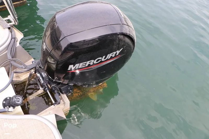 Slide: The Image of Lowe SS 230WT 2024 - 16325130