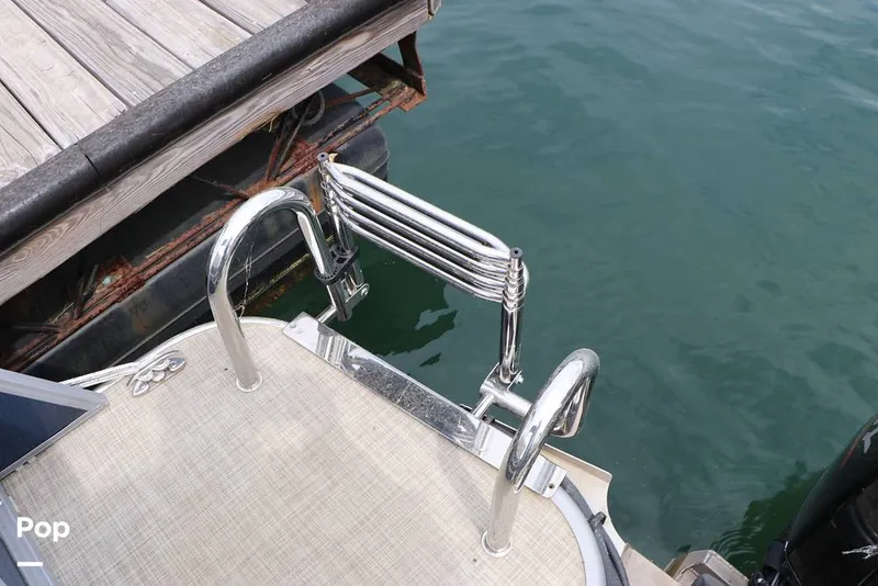 Slide: The Image of Lowe SS 230WT 2024 - 16325131